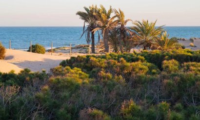 New Build - Penthouse - Guardamar del Segura - Avda del Puerto