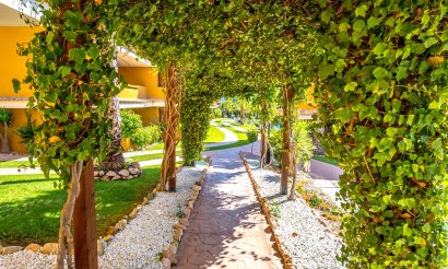 Resale - Apartment / flat - Torrevieja - Punta Prima
