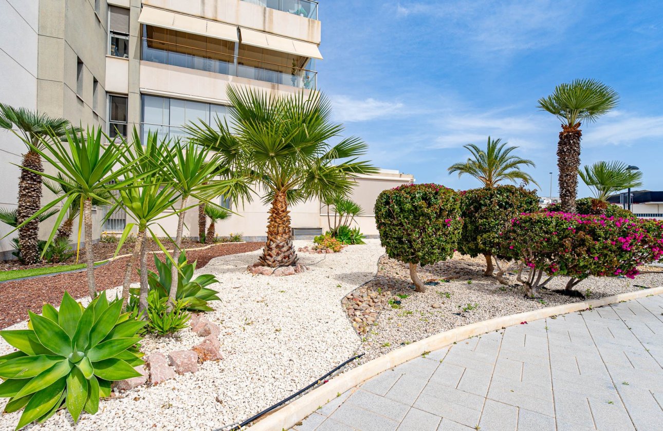 Reventa - Apartamento / piso - Orihuela Costa - Los Dolses