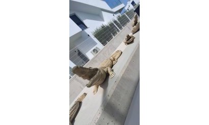Resale - Villa - Orihuela - Entre Naranjos Vistabella Golf