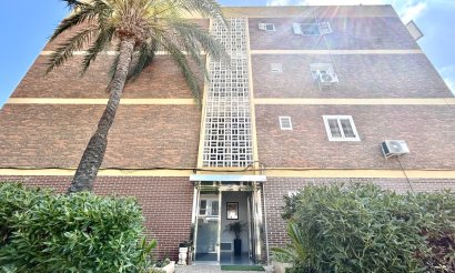 Resale - Apartment / flat - La Zenia