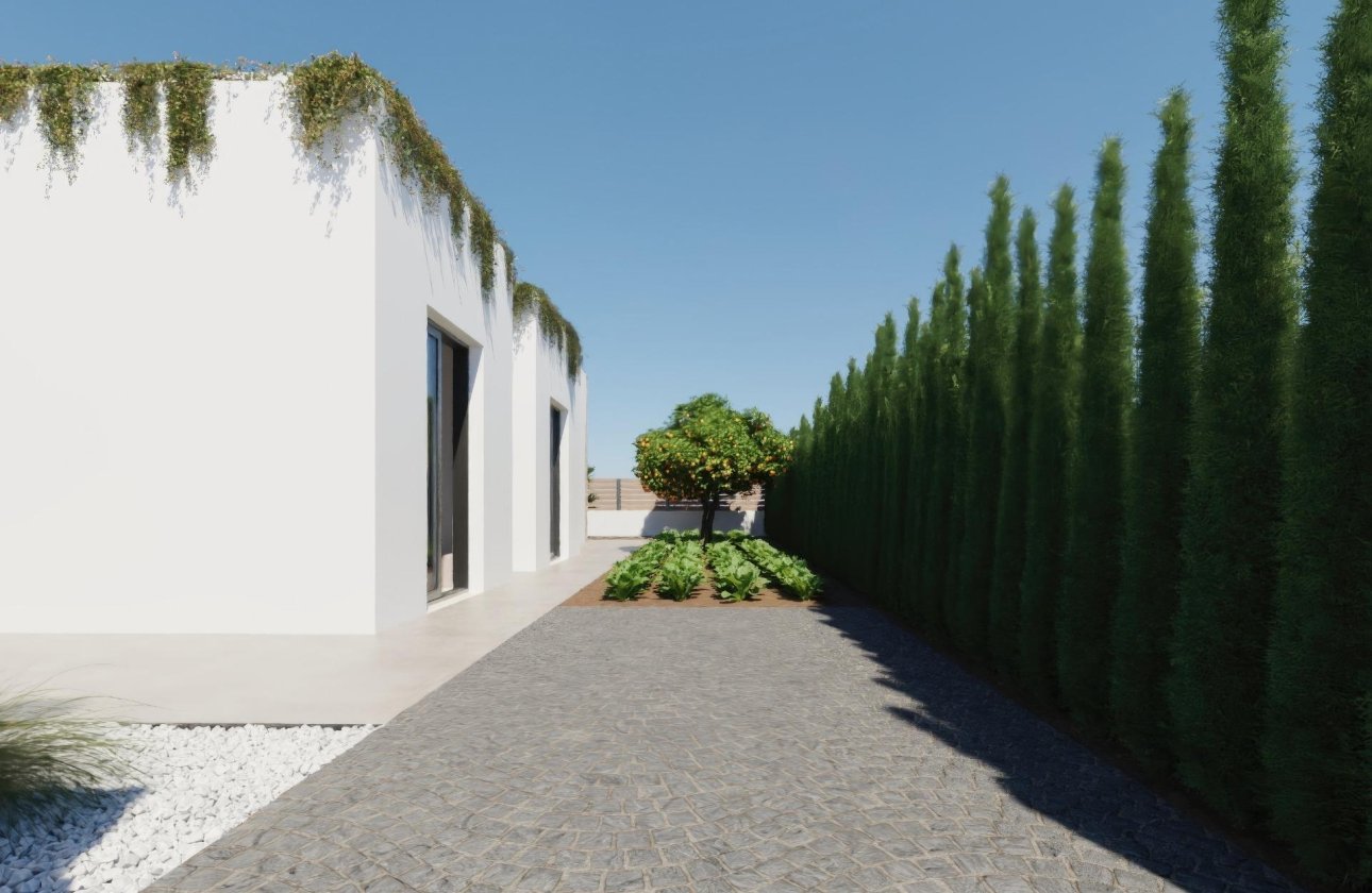 New Build - Villa - Fuente Álamo - Hacienda del Alamo