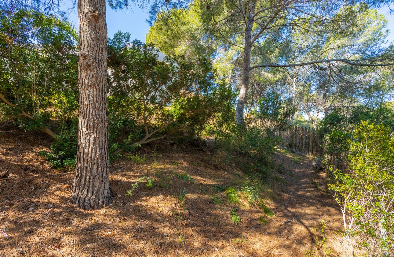 Resale - Villa - Orihuela - Orihuela Costa