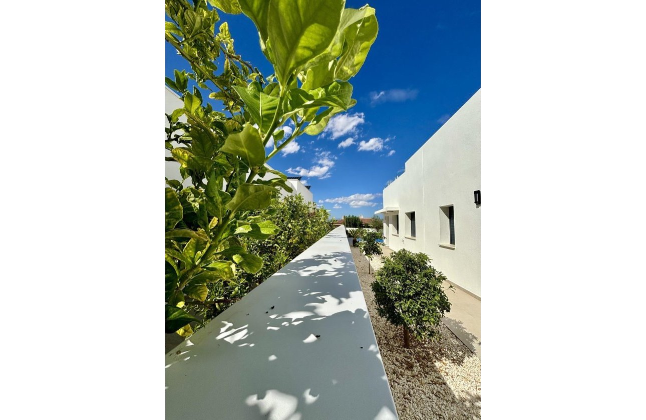 Reventa - Villa - Benijofar