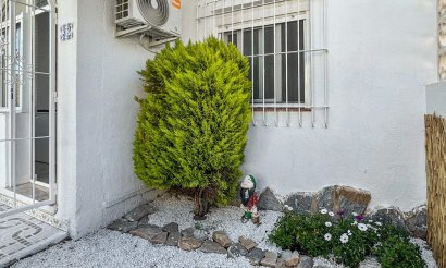 Resale - Bungalow - Torrevieja - Los Balcones