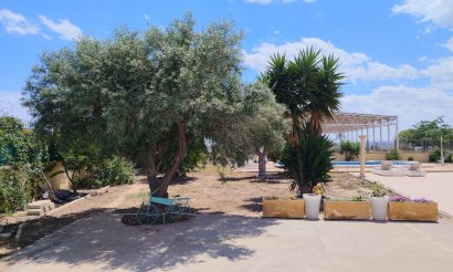 Resale - Villa - Los Montesinos