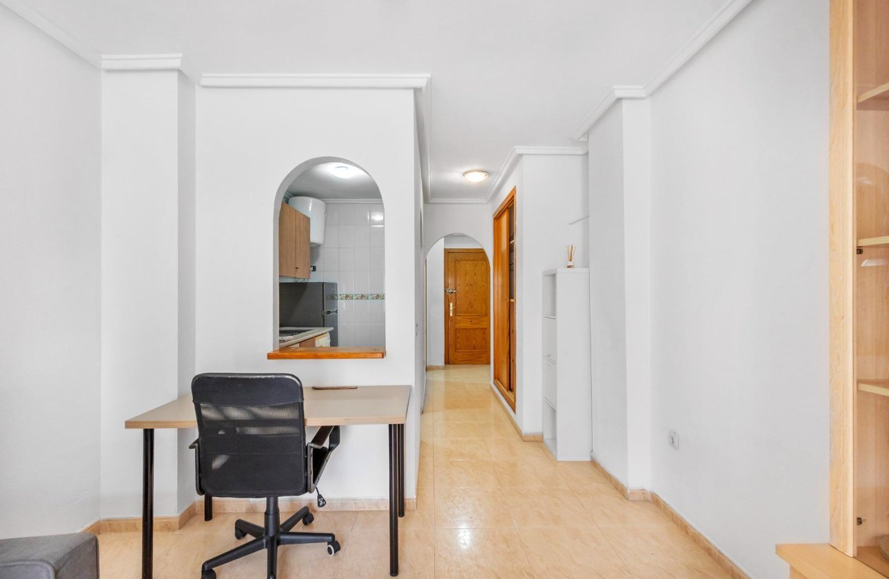 Reventa - Estudio - Torrevieja - Estacion de autobuses