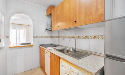 Reventa - Estudio - Torrevieja - Estacion de autobuses