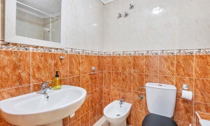 Reventa - Estudio - Torrevieja - Estacion de autobuses
