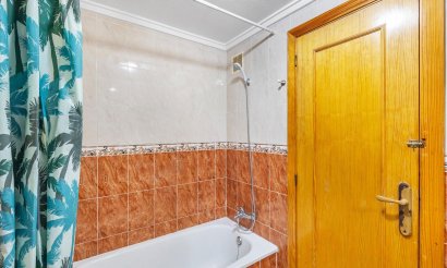 Reventa - Estudio - Torrevieja - Estacion de autobuses