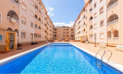 Reventa - Estudio - Torrevieja - Estacion de autobuses