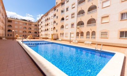 Reventa - Estudio - Torrevieja - Estacion de autobuses