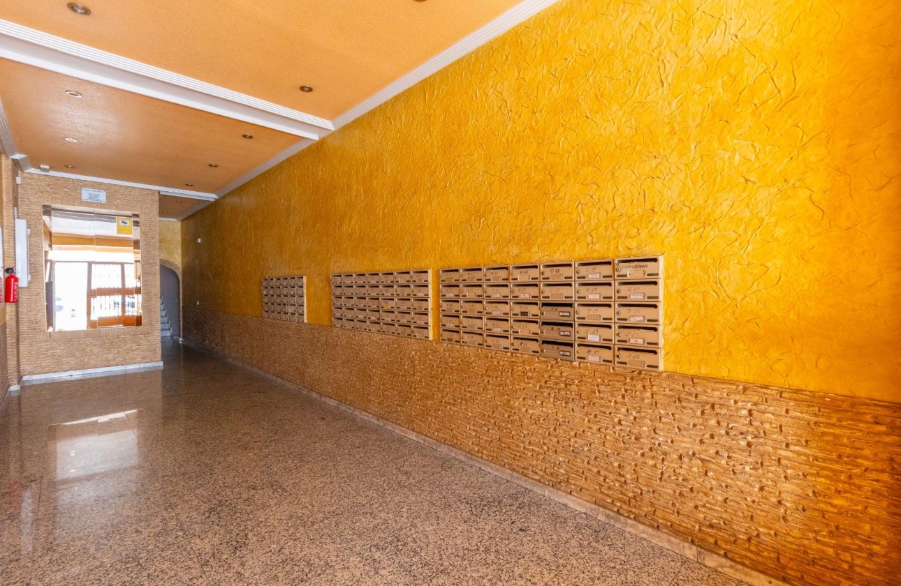 Reventa - Estudio - Torrevieja - Estacion de autobuses