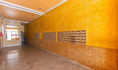 Reventa - Estudio - Torrevieja - Estacion de autobuses