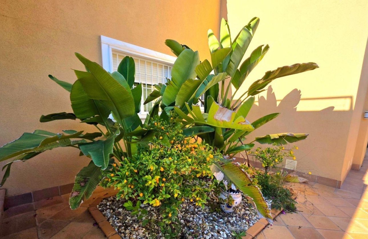 Resale - Villa - Dehesa de Campoamor - Campoamor