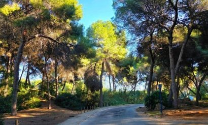 Resale - Villa - Dehesa de Campoamor - Campoamor