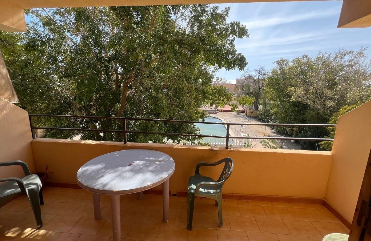 Resale - Studio - Torrevieja - Urb. Rosaleda