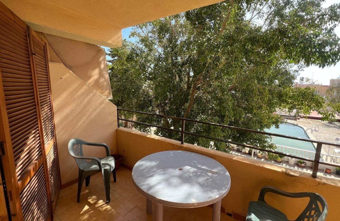 Resale - Studio - Torrevieja - Urb. Rosaleda