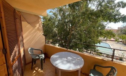 Resale - Studio - Torrevieja - Urb. Rosaleda