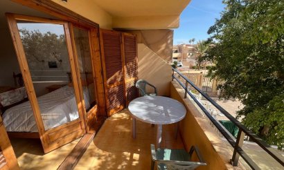 Resale - Studio - Torrevieja - Urb. Rosaleda