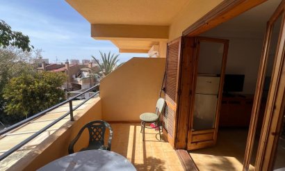 Resale - Studio - Torrevieja - Urb. Rosaleda