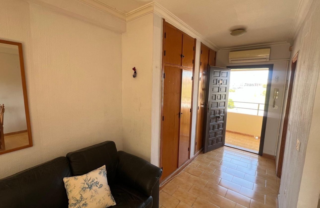 Resale - Studio - Torrevieja - Urb. Rosaleda
