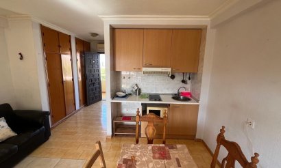 Resale - Studio - Torrevieja - Urb. Rosaleda