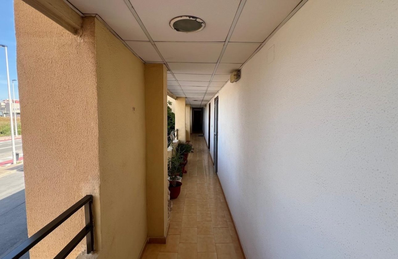 Resale - Studio - Torrevieja - Urb. Rosaleda