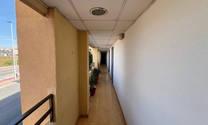Resale - Studio - Torrevieja - Urb. Rosaleda