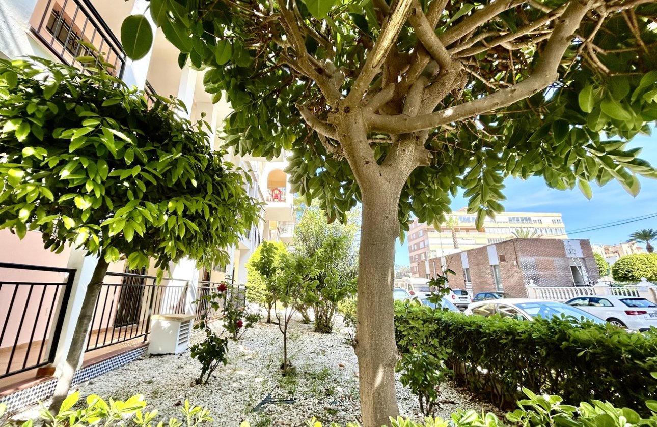 Reventa - Apartamento / piso - Torrevieja - La Veleta