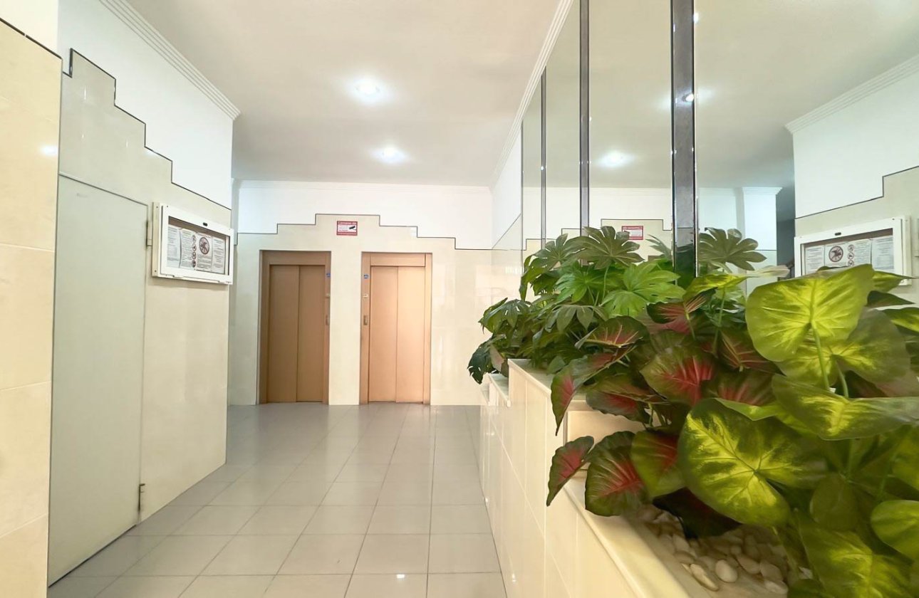 Resale - Apartment / flat - Torrevieja - Parque de Las Naciones
