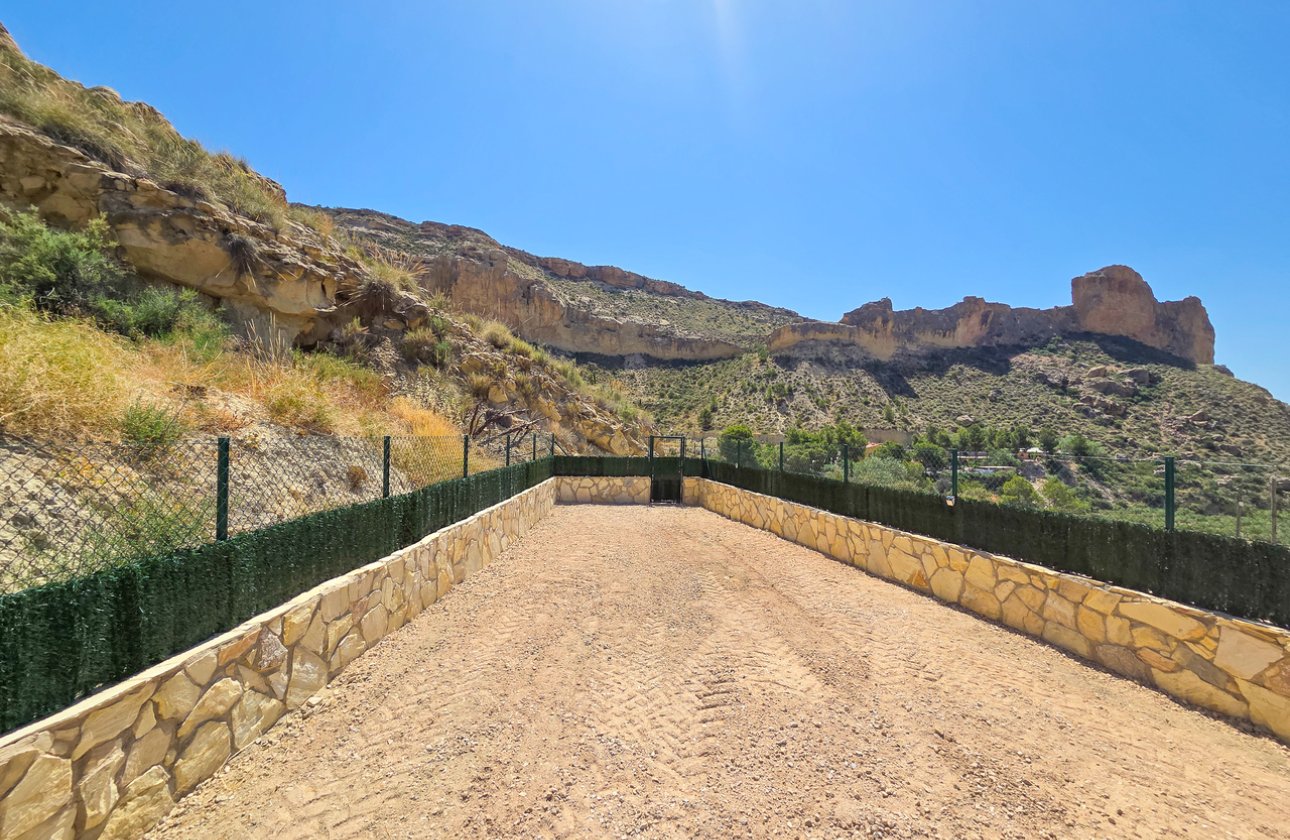 Resale - Villa - Crevillente - Crevillent