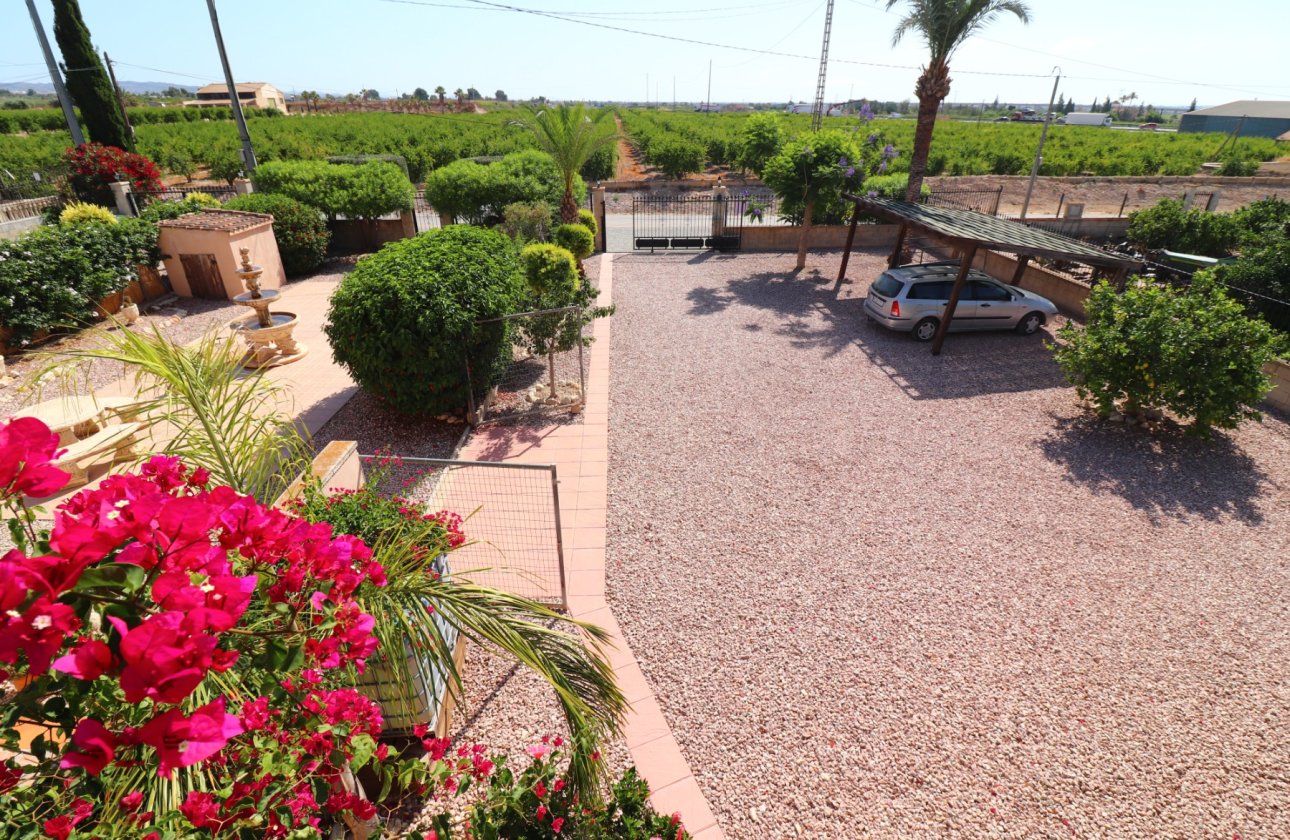 Resale - Villa - Albatera - Albatera - Country