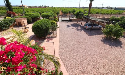 Resale - Villa - Albatera - Albatera - Country