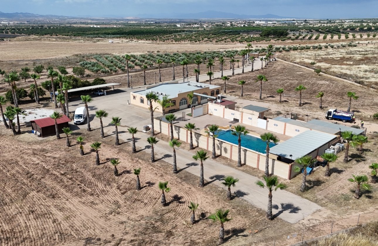 Resale - Villa - Fuente Álamo - Fuente-Alamo de Murcia