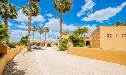 Resale - Villa - Rafal