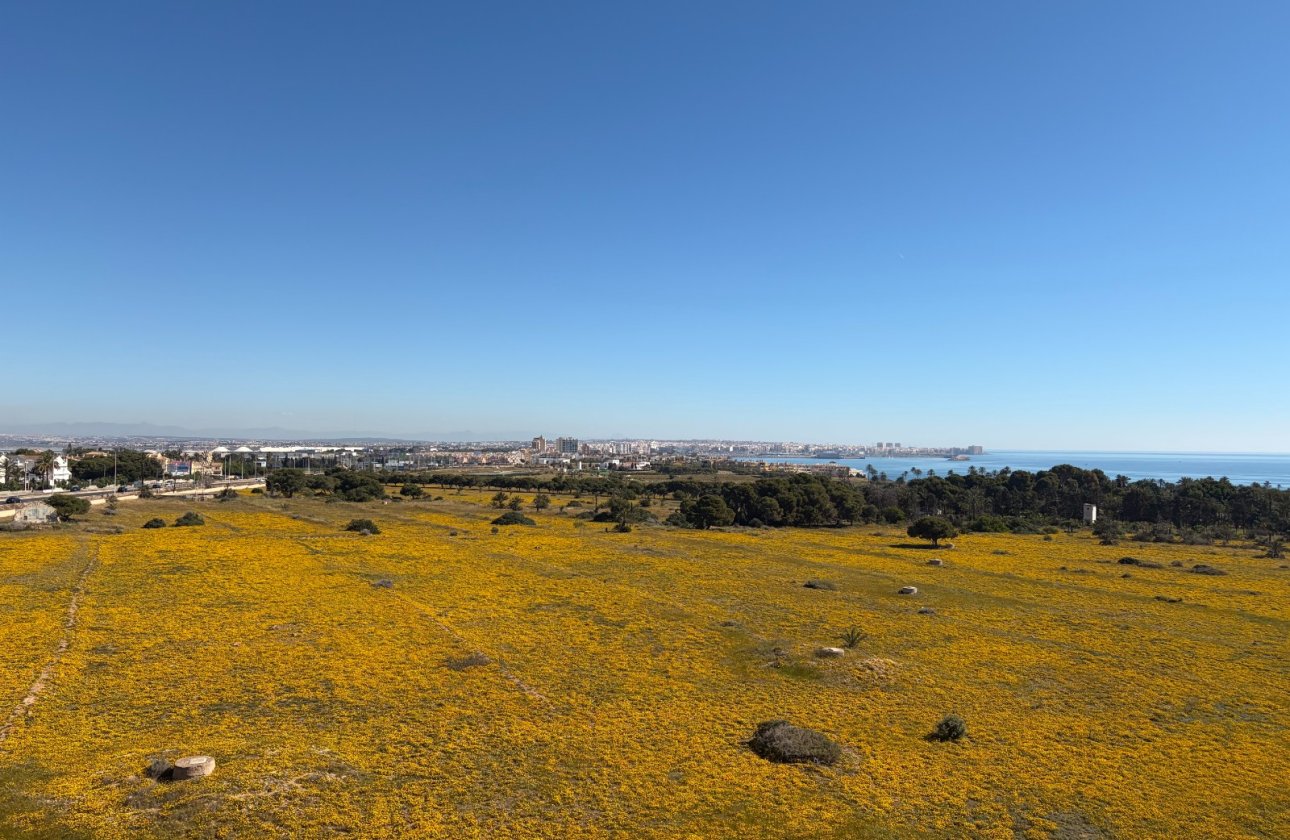 Resale - Penthouse - Torrevieja - Punta Prima