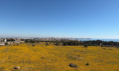 Resale - Penthouse - Torrevieja - Punta Prima