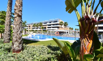 Resale - Apartment / flat - Orihuela Costa - Playa Flamenca