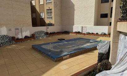 Reventa - Estudio - Torrevieja - Playa de Los Locos-Curva del Palangre