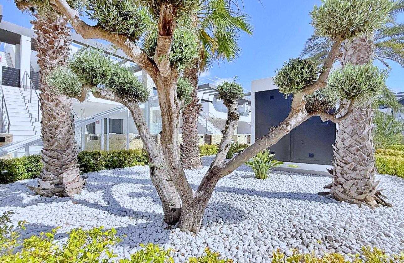 Reventa - Ático - Orihuela Costa - Punta Prima