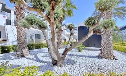 Reventa - Ático - Orihuela Costa - Punta Prima
