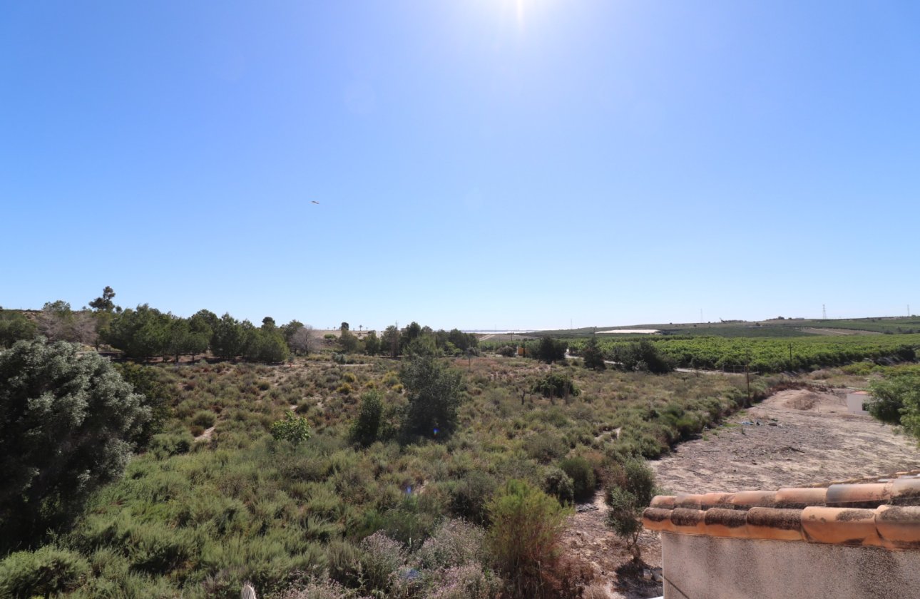 Reventa - Villa - San Miguel de Salinas - Lake View Mansions