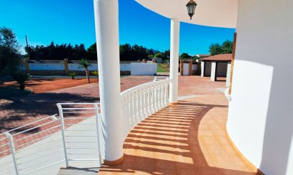 Reventa - Villa - Catral - Catral - Country