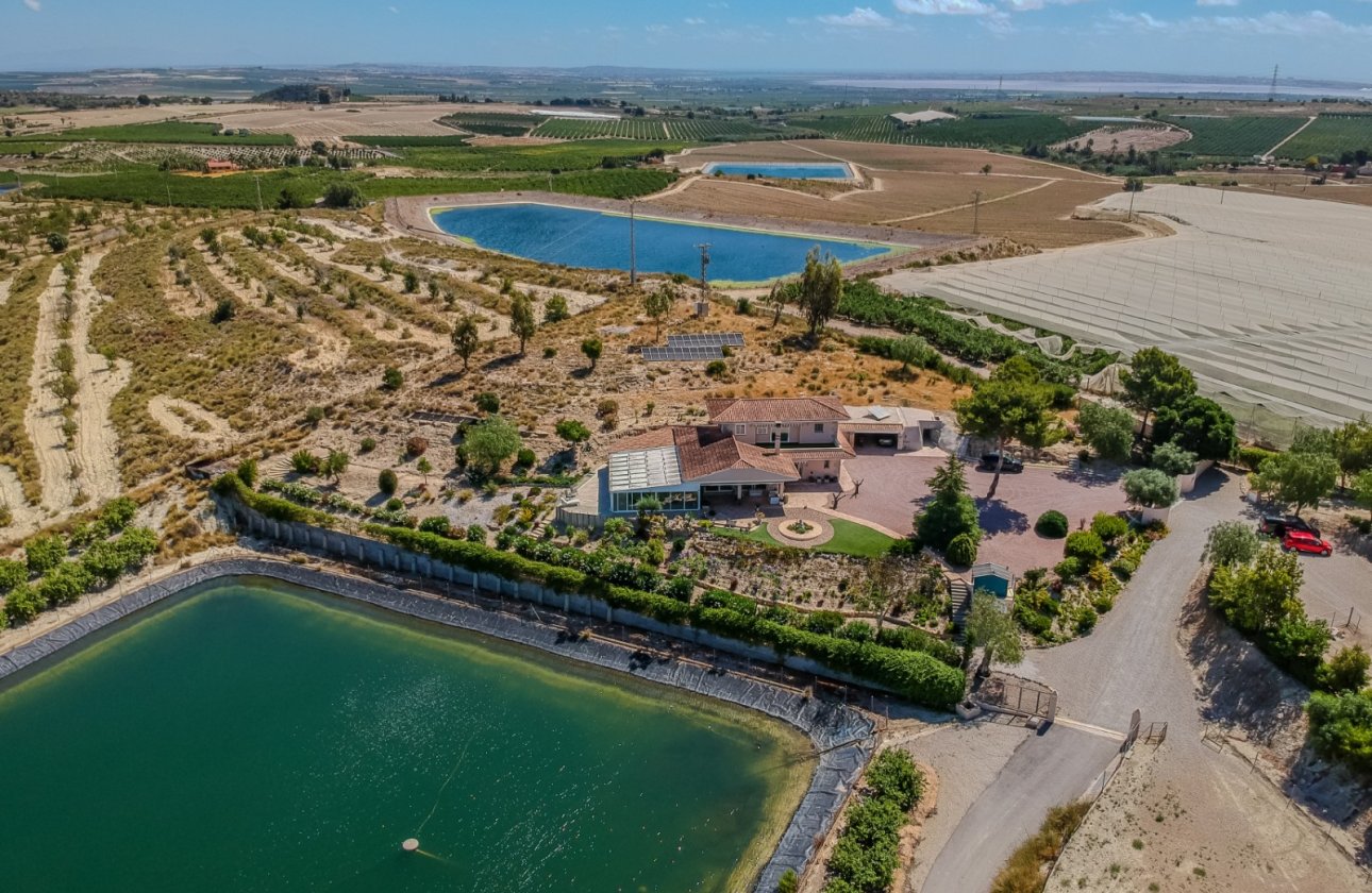 Reventa - Villa - San Miguel de Salinas - Torremendo