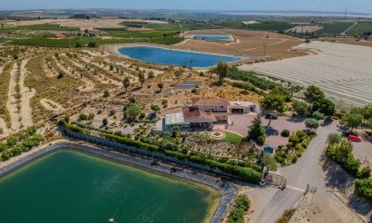 Reventa - Villa - San Miguel de Salinas - Torremendo