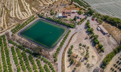 Reventa - Villa - San Miguel de Salinas - Torremendo