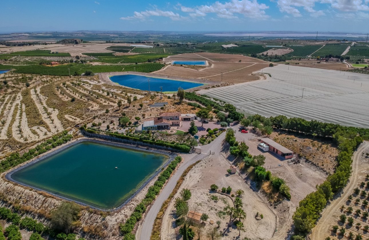 Reventa - Villa - San Miguel de Salinas - Torremendo