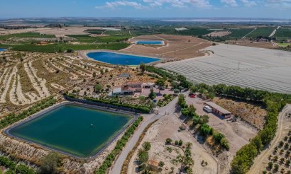 Reventa - Villa - San Miguel de Salinas - Torremendo
