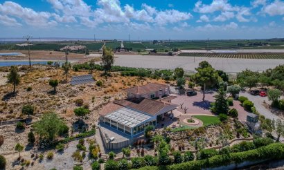 Reventa - Villa - San Miguel de Salinas - Torremendo